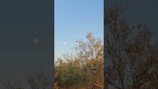 Plane spotting moon sighting [upl. by Staffard]