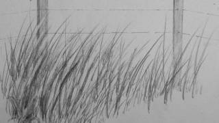 How to Draw Realistic Tall Grass [upl. by Luben]