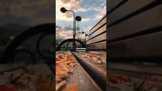 Bhula dunga slowedreverb darshan raval songs love song aestheticslowed [upl. by Panthia]