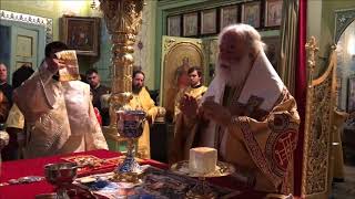 Orthodox Pope of Alexandria vows to protect Canonical Church of Ukraine [upl. by Nosmoht]