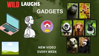 Wild Laughs Gadgets Live Stream [upl. by Amie]