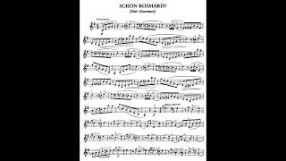 Fr Kreisler Schön Rosmarin accompaniment for Violin [upl. by Ad321]