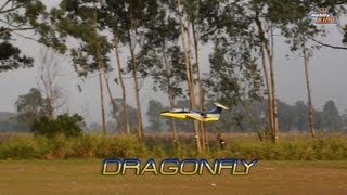 HobbyKing DragonFly EDF BalsaPly Park Jet ARF [upl. by Worth]