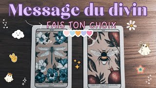 MESSAGE DU DIVIN🌛😇 2 CHOIX 🙈 INTEMPOREL✨ [upl. by Hayott134]