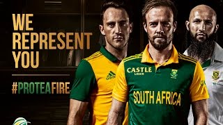 This is ProteaFire [upl. by Schafer]