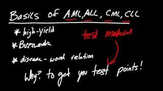 AML ALL CML CLL Buzzwords TO GET YOU POINTS [upl. by Patrizia]