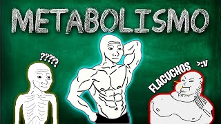 METABOLISMO  CATABOLISMO  ANABOLISMO ¿QUE SON [upl. by Sucramat]