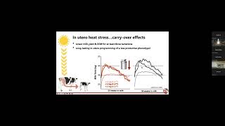 Let’s Review What We Know About Heat Stress In Dairy Calves [upl. by Eydnarb176]