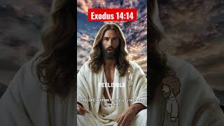 🙏 Exodus 1414  Jesus Christ  Lord  Pray for God  Bible Verse [upl. by Aivatco]