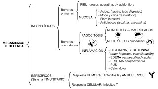 Inmunología 01  Mecanismos de defensa inespecíficos y específicos [upl. by Campney]