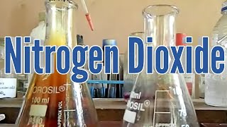 Nitrogen Dioxide  preparation and properties [upl. by Adiene]