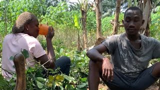 African couple working in a vegetable garden  harvesting cassava  garden DiscoverAgriculture [upl. by Dasha590]