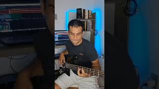 1000 graus Renascer Praise bass cover Use 🎧 🎧 🎧 [upl. by Ethbun611]