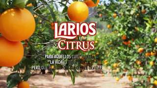 Larios Citrus [upl. by Hindorff]