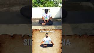 Siddhasana benefits subscribe more useful content gnaniyoga yoga gnaniyoga fitness asana [upl. by Vaden]