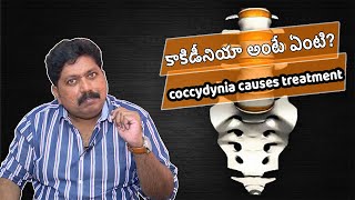 Coccydynia causes treatment pain relief all details  కాకిడీనియా అంటే ఏంటి [upl. by Airot]