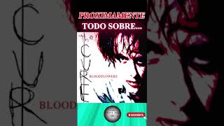 TODO SOBRE BLOODFLOWERS de The Cure [upl. by Sada]