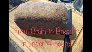 From Grain to Bread  In under 4 hours [upl. by Kcinnay813]