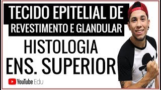 Tecido Epitelial  REVESTIMENTO E GLANDULAR │Aula de Biologia Ensino Superior  Prof Patrick Gomes [upl. by Okuy]