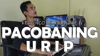 Pacobaning Urip Keroncong Karaoke Purwaka Musik [upl. by Alie]