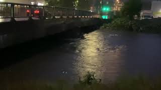 Lackawanna river up high during the hurricane Ida on Wednesday night at Olyphant Pennsylvania [upl. by Nicol]