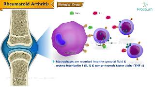 Rheumatoid Arthritis Pharmacology  DMARDs TNF α and IL1 Inhibitors [upl. by Arhna]