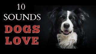 10 Sounds Dogs Love To Hear The Most [upl. by Ennahtur]