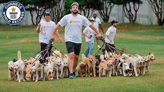 Most Dogs Walked At Once  Guinness World Records [upl. by Aremmat416]