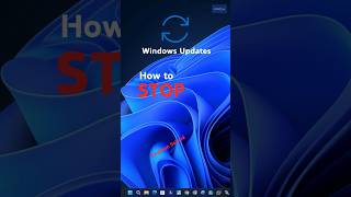 How to STOP Windows Updates in Windows 11 shorts youtubeshorts viralvideo [upl. by Nelson970]