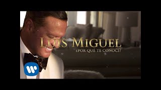 Luis Miguel  ¿Por Qué Te Conocí Lyric Video [upl. by Durkee297]