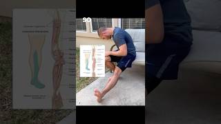 Tibial nerve glide for ￼sciatica ￼relief movementcoach sciatica hipmobility mobility [upl. by Aryt]