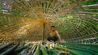 Survival Skills Unleashed  Creating a Hobbit Mushroom House with Minimal Resources Part 1 [upl. by Bonina]