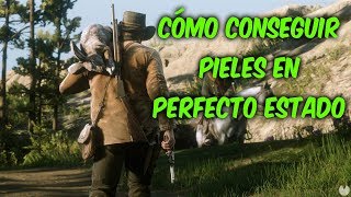 CÓMO CONSEGUIR PIELES EN PERFECTO ESTADO  RED DEAD REDEMPTION 2 [upl. by Feinstein]