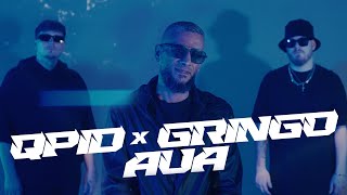 qpid amp GRiNGO44  Aua Official Music Video 4k [upl. by Jaquelin]