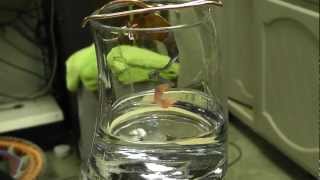 What Is A Catalyst Demo Of A Copper Catalyst amp Acetone [upl. by Tezile]