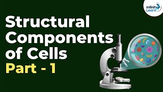 Structural Components of Cells  Part 1  Dont Memorise [upl. by Mellisent528]