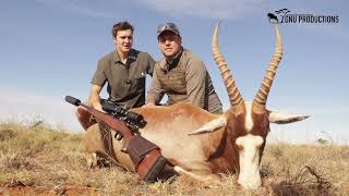 Hunting Yellow Blesbok Hunt in Africa with Grootvallei African Safaris [upl. by Ahsrop]