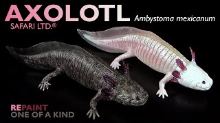 Safari Ltd ® Axolotl Ambystoma mexicanum 2024 Repaint amp Review [upl. by Sparke]