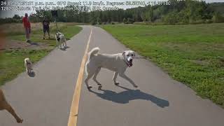 biking at hermitage park Edmonton [upl. by Ettenyar]