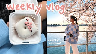 weekly vlog 🌸 home makeover new furniture DC cherry blossom festival spring ootds museums [upl. by Hsihsa635]