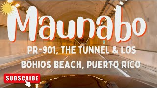 Maunabo PUERTO RICO in 4K 2022 PR 901 the tunnel and Bohios Beach [upl. by Atiuqrahc]