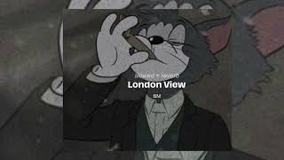 LONDON VIEW  TPL BM  𝑺𝒍𝒐𝒘𝒆𝒅  𝑹𝒆𝒗𝒆𝒓𝒃 [upl. by Anitac]