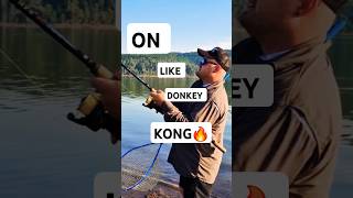 On like Donkey Kong fishing carpfishing shorts [upl. by Gottwald]