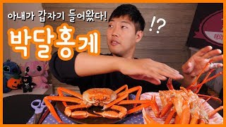 박달홍게 먹방  리얼사운드  먹고 있는데 갑자기 아내가 들어왔다 [upl. by Harwilll]