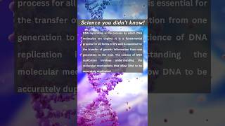 DNA Replication simplified [upl. by Artcele]