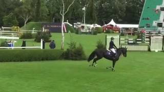 Jaguar VD Berghoeve 2nd at The Royal International Hickstead [upl. by Isbella]