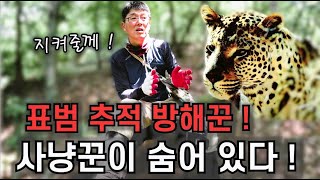 표범 추적 중에 나타난 방해꾼  숨어 있는 사냥꾼 때문에 [upl. by Omrellug917]