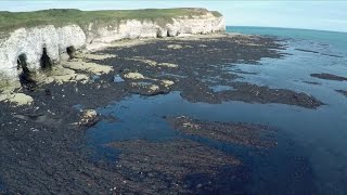 The 4 coastal processes of erosion with timeforgeographycouk [upl. by Ahtekahs814]