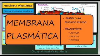 LA MEMBRANA PLASMÁTICA Estructura y Transporte Mosaico Fluido LA CÉLULA Los ORGÁNULOS CELULARES [upl. by Arinaid614]