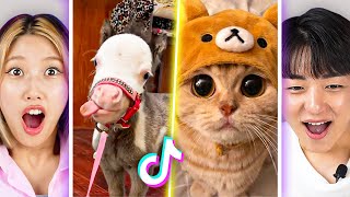 Reacting to CUTEST animals on Tiktok  PEACH [upl. by Anirual58]